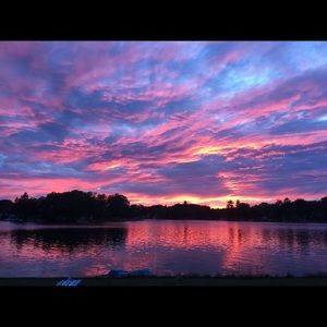 Meet your Posher, Elysa